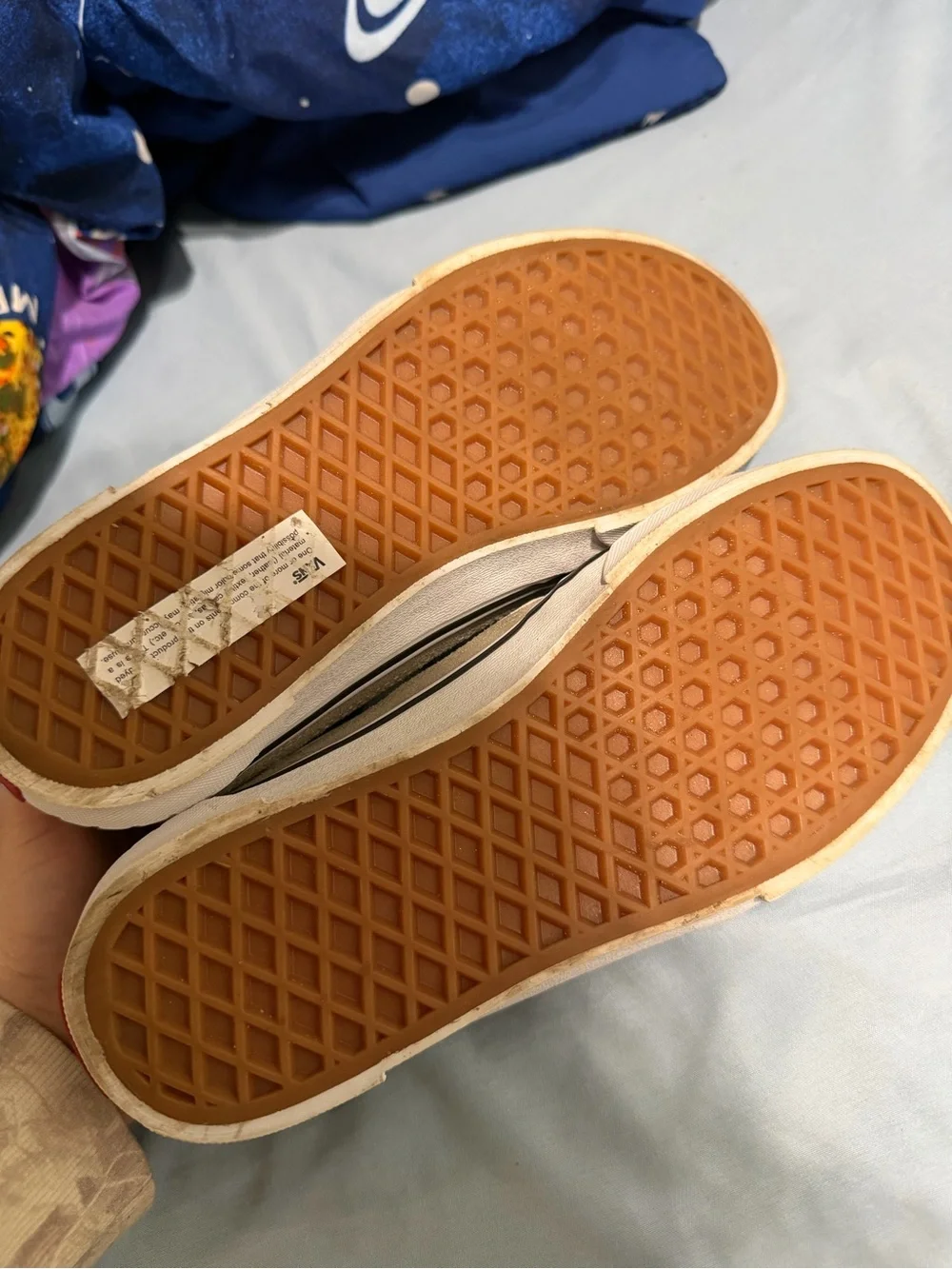Vans low top